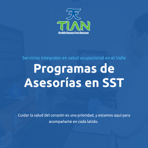 Programas de Asesorías en SST