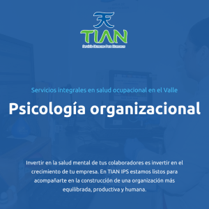 Psicología Organizacional